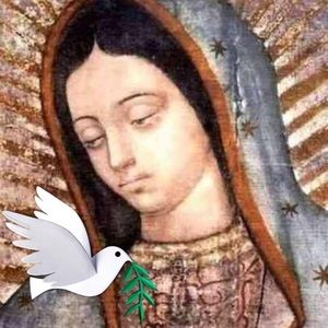 Meet your Posher, Manuel